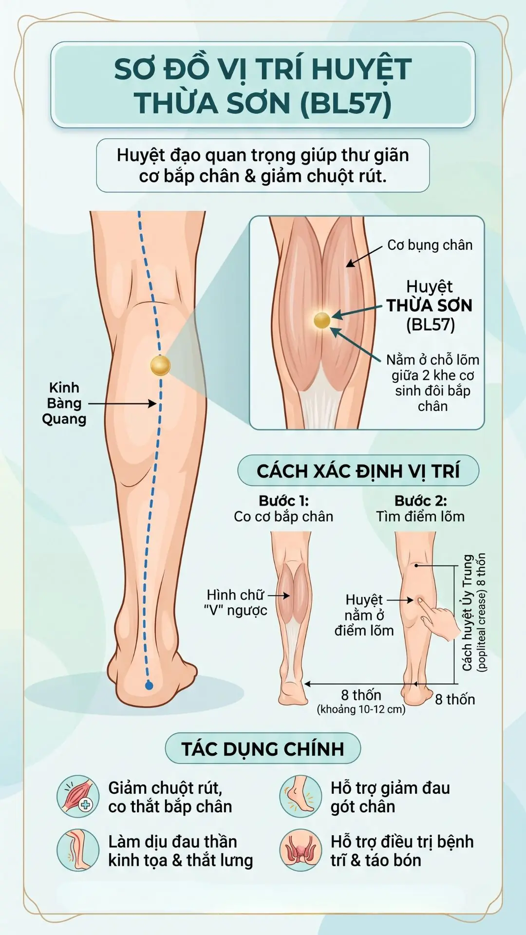 massage cho người bị chuột r&uacute;t chuẩn vị tr&iacute; huyệt Thừa Sơn