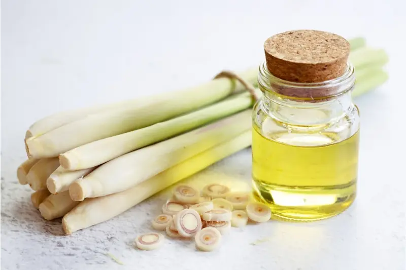 tinh dầu sả chanh